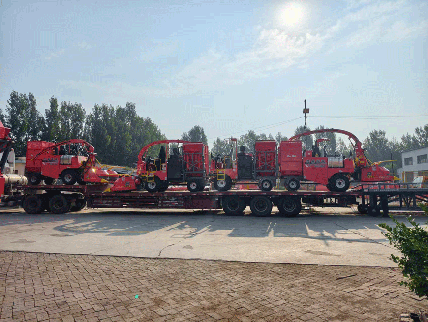 Sẵn Sàng Giao Hàng: Máy Thu Hoạch Cỏ Ủ Chua Senrui 4QZ-2000C Được Vận Chuyển Nguyên Cụm—Nâng Cao Hiệu Quả Cho Các Trang Trại Chăn Nuôi! Sẵn Sàng Giao Hàng: Máy Thu Hoạch Cỏ Ủ Chua Senrui 4QZ-2000C Được Vận Chuyển Nguyên Cụm—Nâng Cao Hiệu Quả Cho Các Trang Trại Chăn Nuôi!