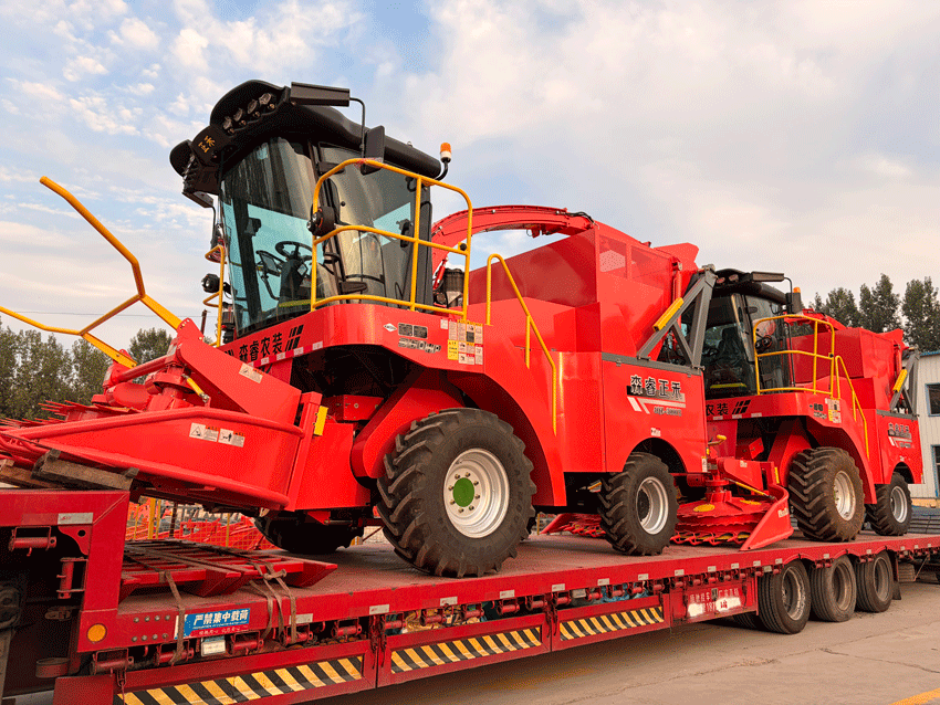 Chế tác với sự xuất sắc, sẵn sàng chinh phục những cánh đồng! Máy thu hoạch thức ăn ủ chua quy mô lớn Senrui 4Qz-3000B đã được xếp hàng và vận chuyển.